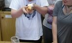 20170427_104755